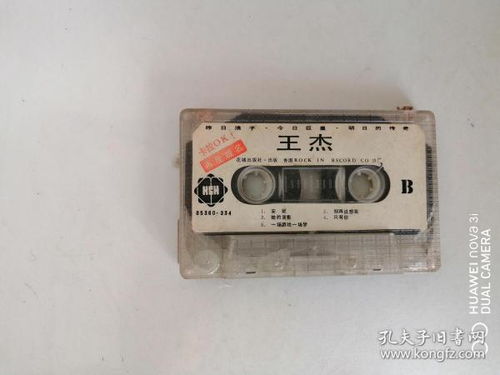 從唱片到網(wǎng)絡視聽 音像制品收藏與傳播的演變