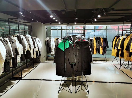 廣東品牌折扣女裝羽絨服專(zhuān)賣(mài)網(wǎng)店 優(yōu)質(zhì)貨源與庫(kù)存管理指南
