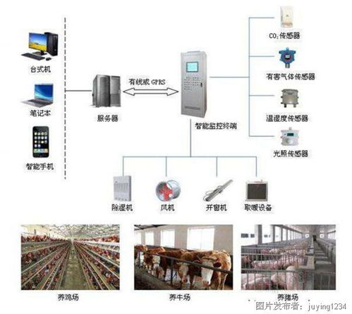 智慧養殖與遙測預警 科技重塑生態管理的雙重變革
